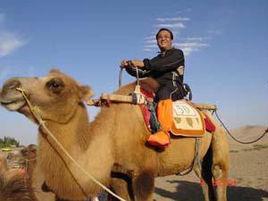 杜君慧[青島市書法家協會會員]