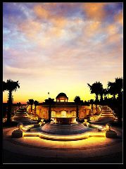 棕櫚泉國際花園D區 棕櫚泉國際花園D區