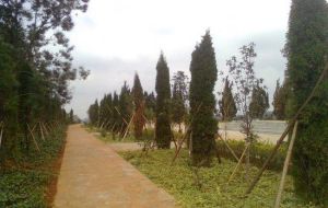 祭蟲山森林公園 祭蟲山森林公園