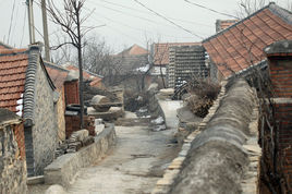溜石港村 溜石港村