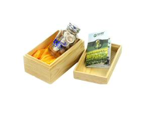 5X蟲草含片 5X蟲草含片