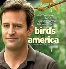 美國鳥類 美國鳥類