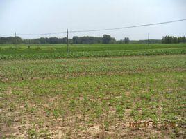 南城孜遺址 南城孜遺址