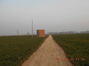 玉皇廟鎮農村種植的冬小麥