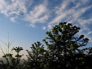 連康山國家級自然保護區