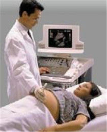 陰道血吸蟲病 陰道血吸蟲病