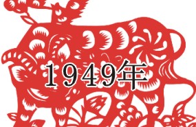 1949年8月19 1949年8月19