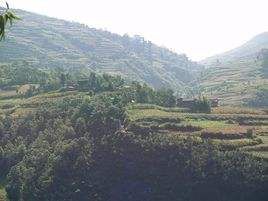 各馬合天村 各馬合天村