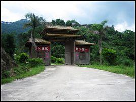 大雙林場 大雙林場