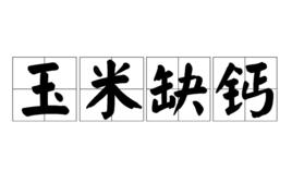 玉米缺鈣 玉米缺鈣