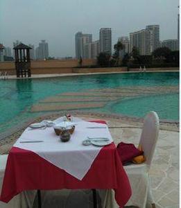 美洲蟲霉 美洲蟲霉