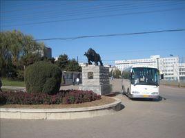 遼寧醫學院畜牧獸醫學院 遼寧醫學院畜牧獸醫學院