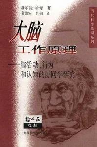 大腦工作原理 大腦工作原理