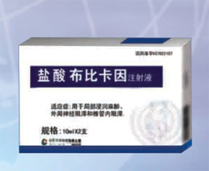 鹽酸布比卡因注射液 鹽酸布比卡因注射液
