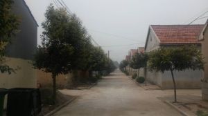 棋子灣村 棋子灣村