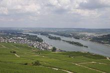 萊茵河景觀圖