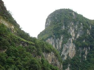 四季桶村自然資源－山林