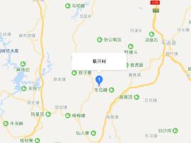 聯興村[廣東省梅州市興寧市羅崗鎮下轄村]