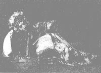 馬振華[戲曲表演藝術家]