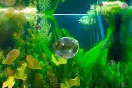 泡泡變大 泡泡變大