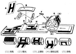 靜電複印 靜電複印