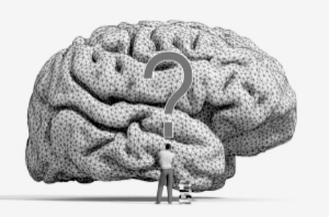 缺血性腦卒中 缺血性腦卒中