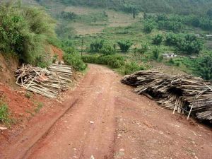 上裸課自然村 上裸課自然村