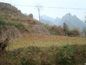 黑支果村 黑支果村