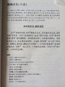 日本漢詩文 日本漢詩文