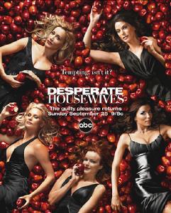 《絕望的主婦》第三季