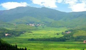 梅嶺國家森林公園