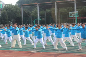 太極導引功 太極導引功