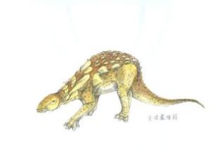 高爾頓龍 高爾頓龍