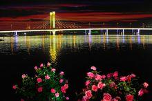 白河遊覽區大橋夜景