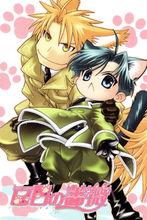 肉球版劇情圖片