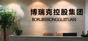 博瑞克控股集團