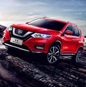 尼桑奇駿 尼桑奇駿