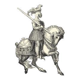 騎士[歐洲中世紀的社會階層受過訓練的騎兵]
