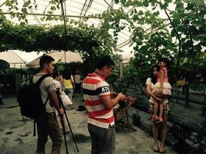 葡萄樹下的秘密 葡萄樹下的秘密