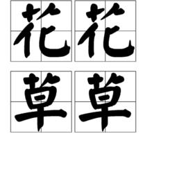花花草草[漢語辭彙]