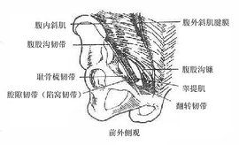 海氏三角 海氏三角