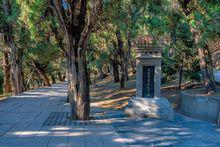 黃帝陵[天下第一陵：橋山黃帝陵]