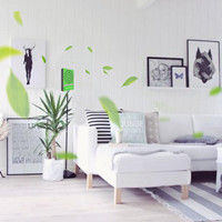 小粒徑負離子 小粒徑負離子