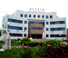 中國石油大學勝利學院圖書館 中國石油大學勝利學院圖書館