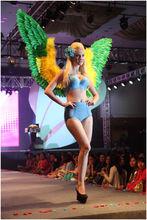 女人心內衣走秀圖