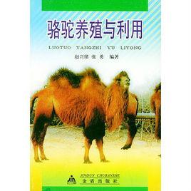 駱駝養殖與利用 駱駝養殖與利用