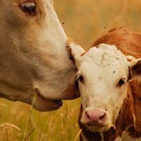 色色俱全 色色俱全