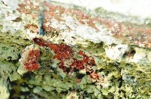 拱門石磚上的明代硃砂