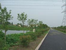 月城鎮[江蘇江陰市下轄鎮]