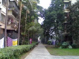 南油生活A區 南油生活A區